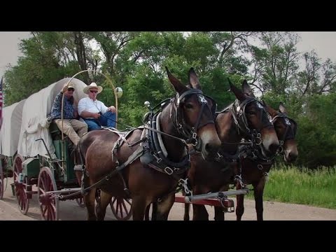 The Oregon Trail: A New American Journey by Rinker Buck